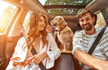 family driving with dog